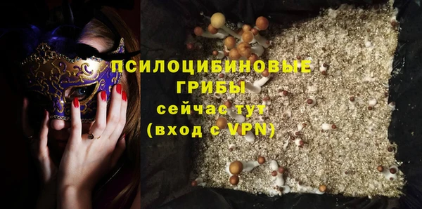 мдма Няндома