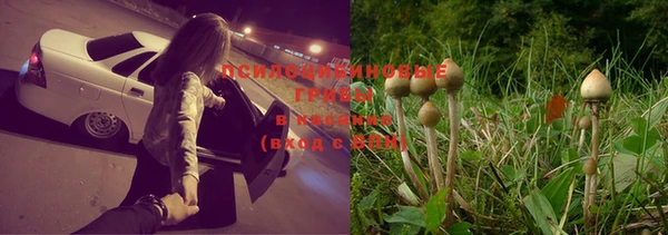 мдма Няндома