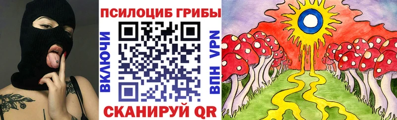 Галлюциногенные грибы мицелий  Курильск 